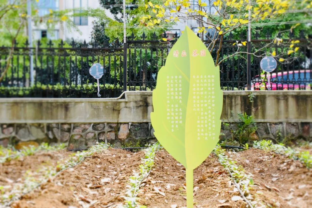 又获大奖！不愧是南京南大门最强初中