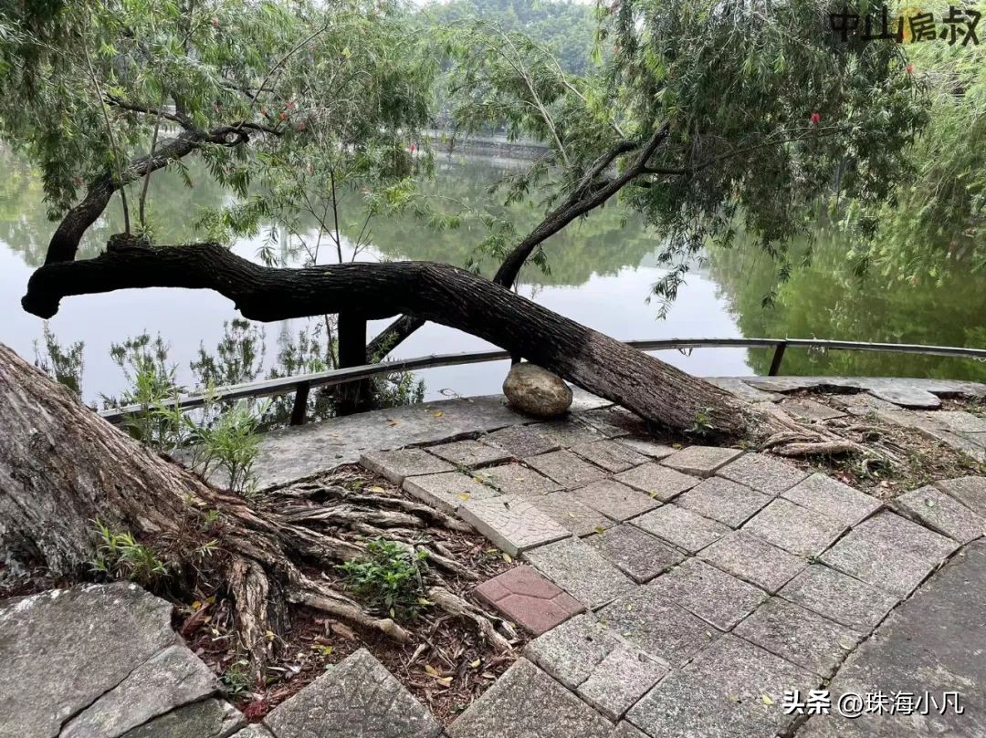 中山市逸仙湖公园改造,中山逸仙湖规划图