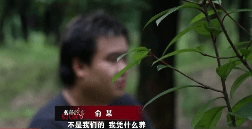 脑瘫儿子抚养费怎么协商,残疾脑瘫儿童抚养费