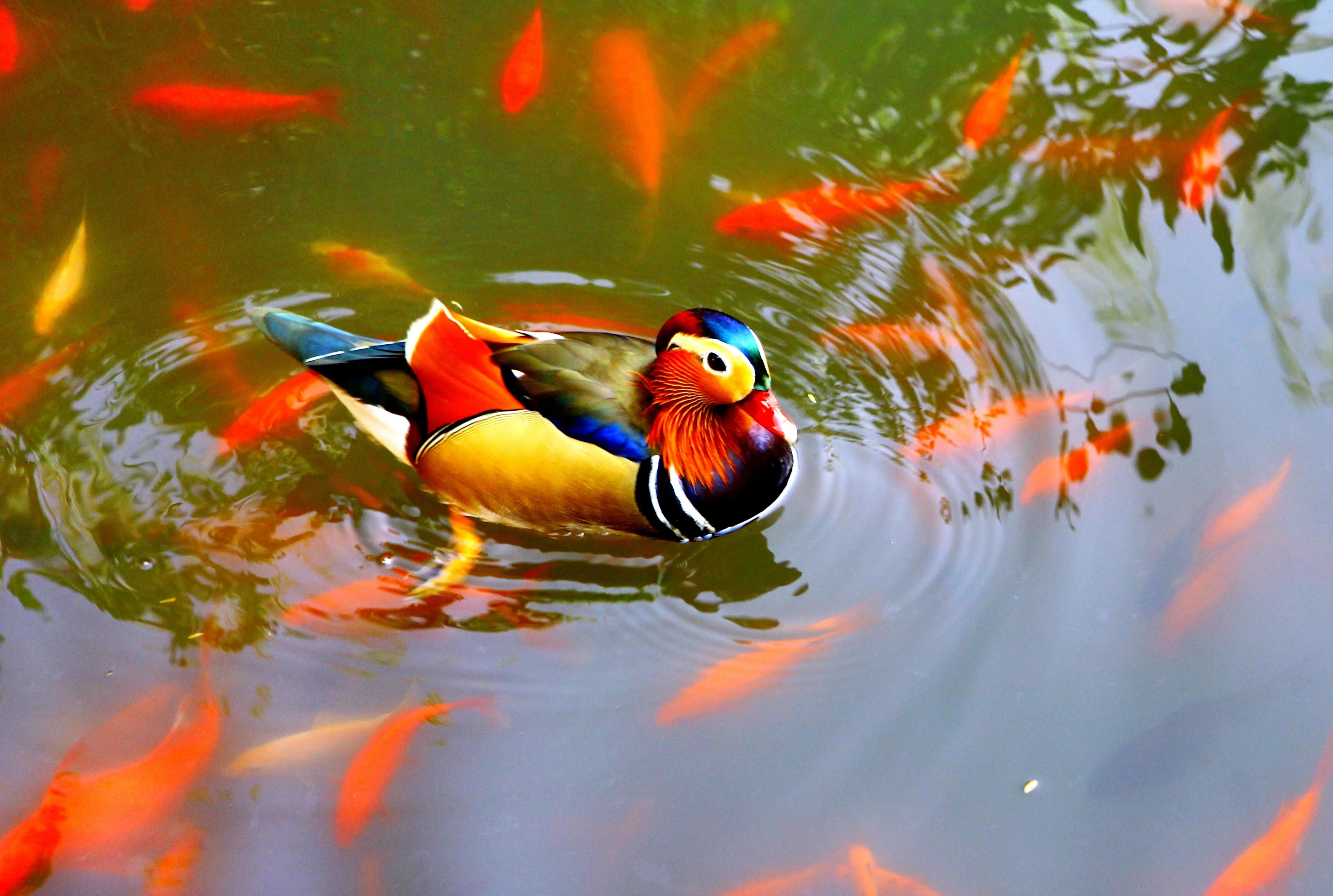 27届全国摄影艺术展评选结果组照,第二十八届全国摄影艺术展览征稿