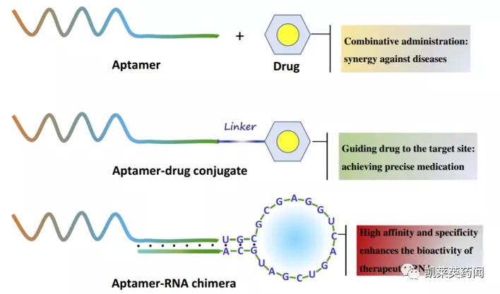 新药巡礼:核酸“抗体”曙光已现,NOX-A12发力肿瘤治疗