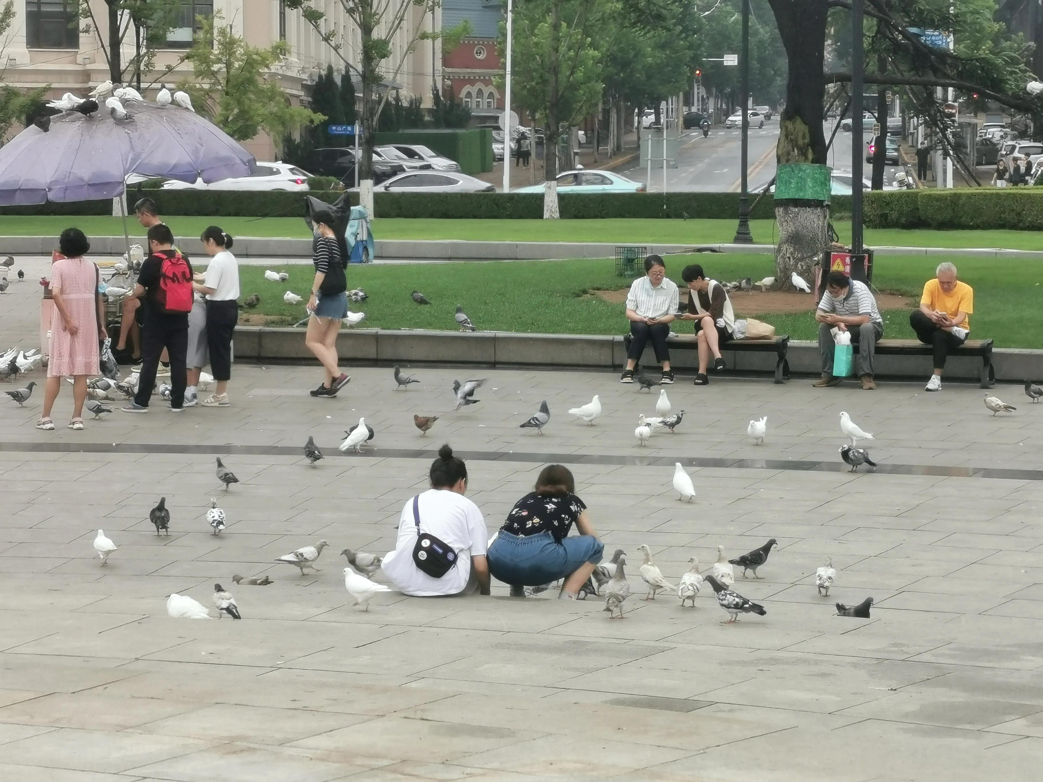 中山广场大连老视频,大连中山广场百年沧桑