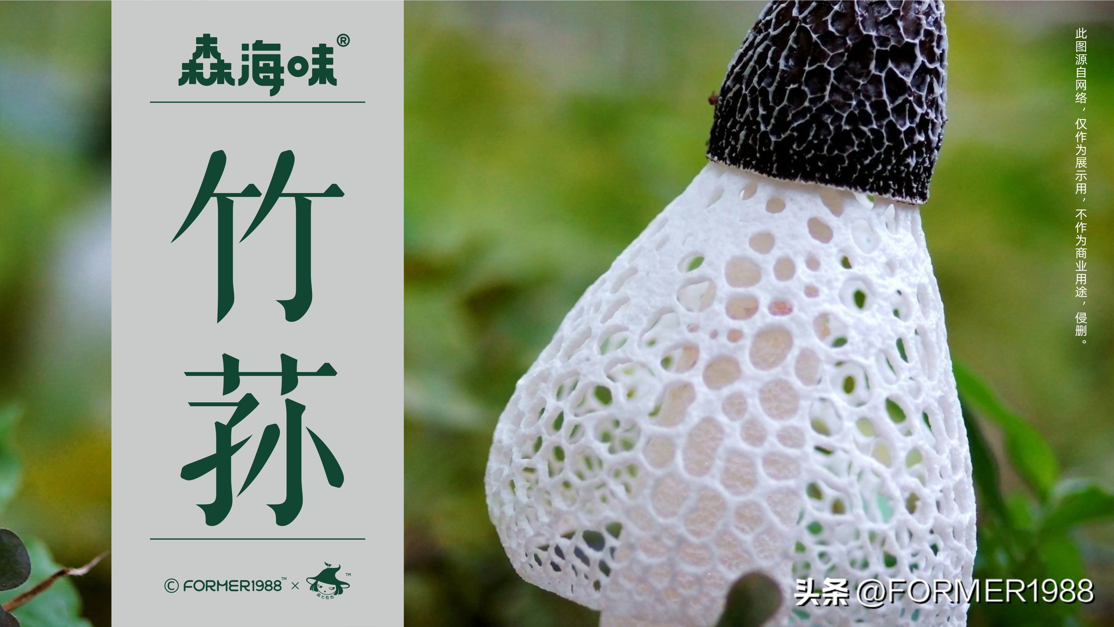 竹荪品牌设计,竹荪包装工厂