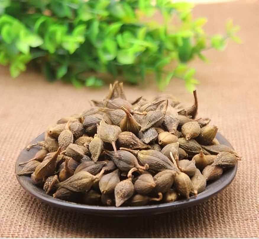 治疗心力衰竭中药处方,心力衰竭强心利尿