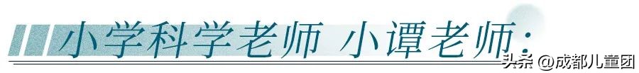 教师节家长应该送什么礼物,我们教师节要准备什么样的礼物呢