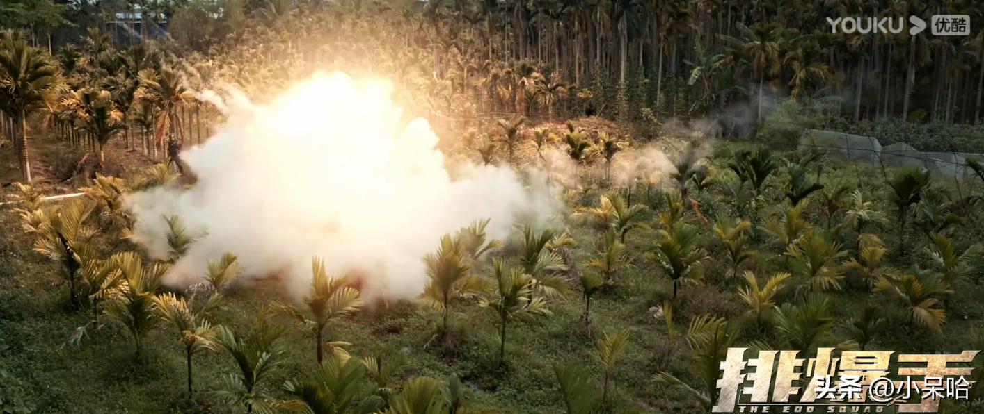 于无声处胡军版取景地点,于无声处胡军全集解说