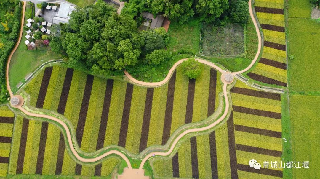 水灵妹旅行攻略,水灵妹旅游景点