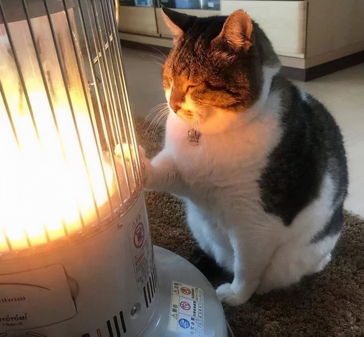 南方人的取暖难题,南北方人取暖的差异