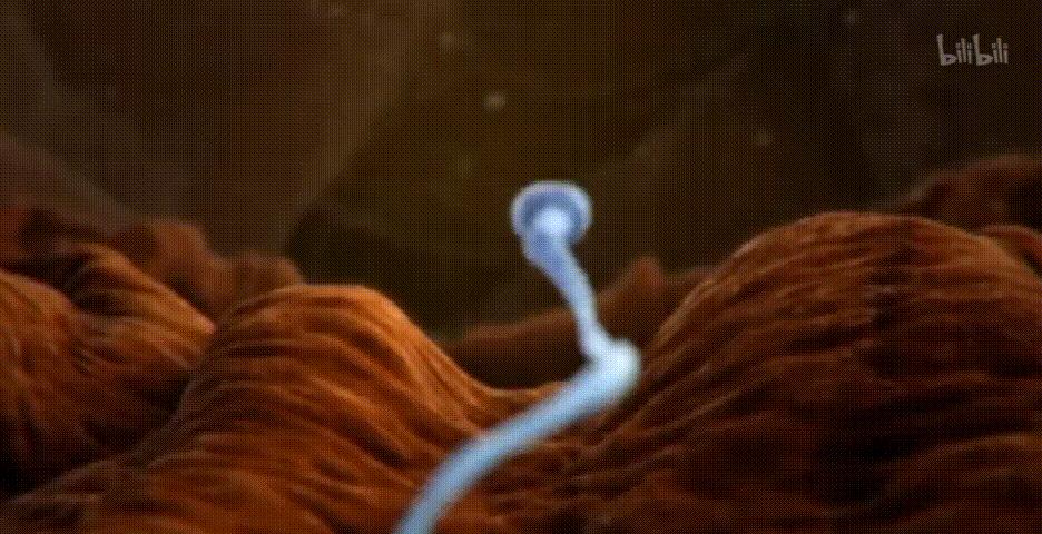 如果你不知道怎么对孩子进行性教育,一定要带他看这7个教育视频