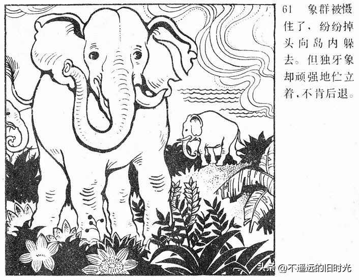 大象搬家,大象搬家河北