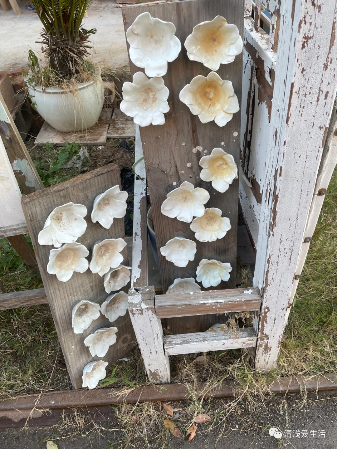 景德镇六大陶瓷市场,聊聊景德镇陶瓷市场