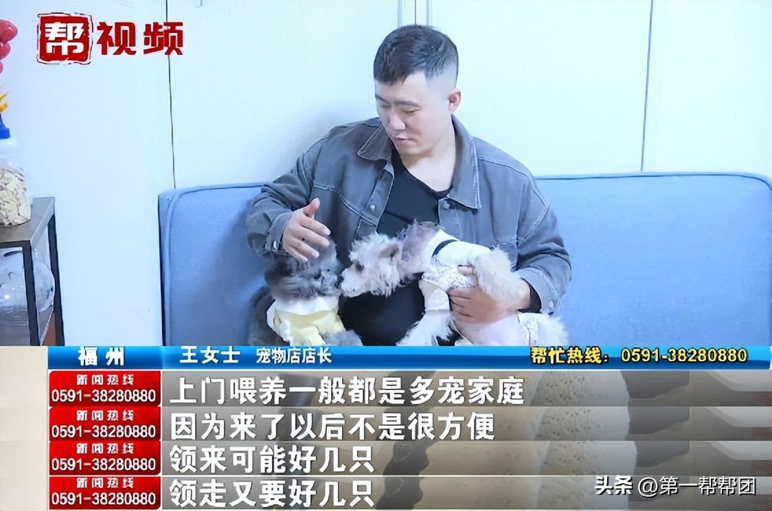 回家过年宠物怎么安置,寄养宠物需要注意什么细节