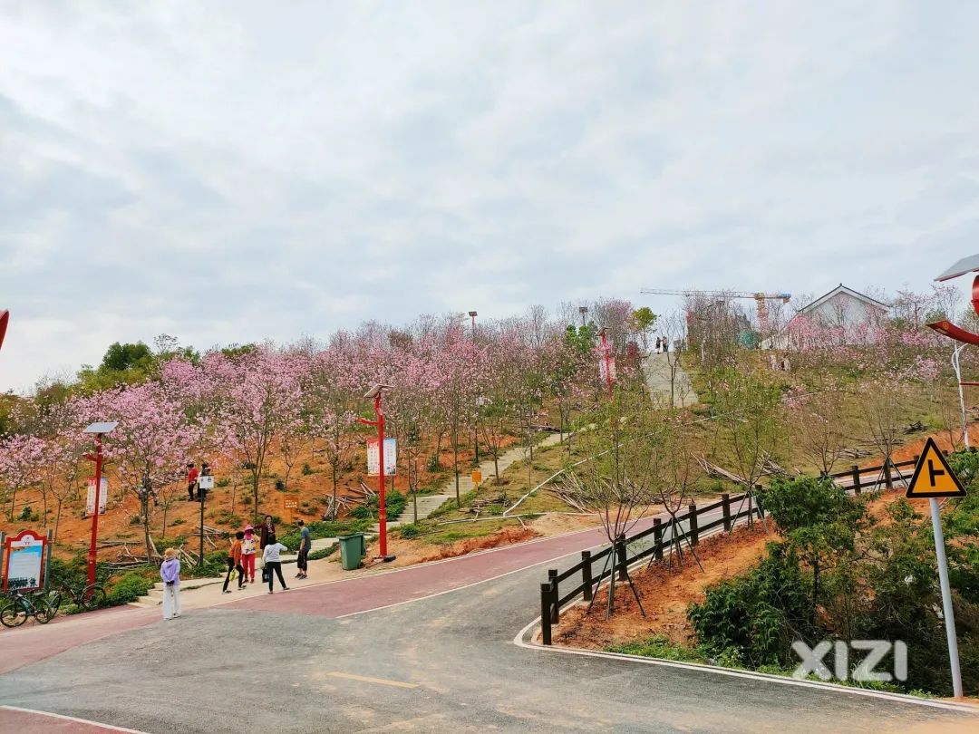 惠州十大绿道景点,惠州绿道好去处推荐