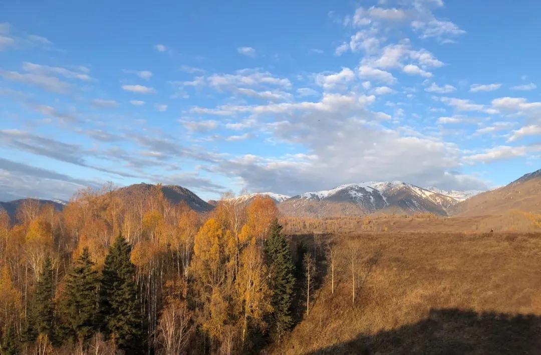 返程投资新规37号文原文,返程投资备案