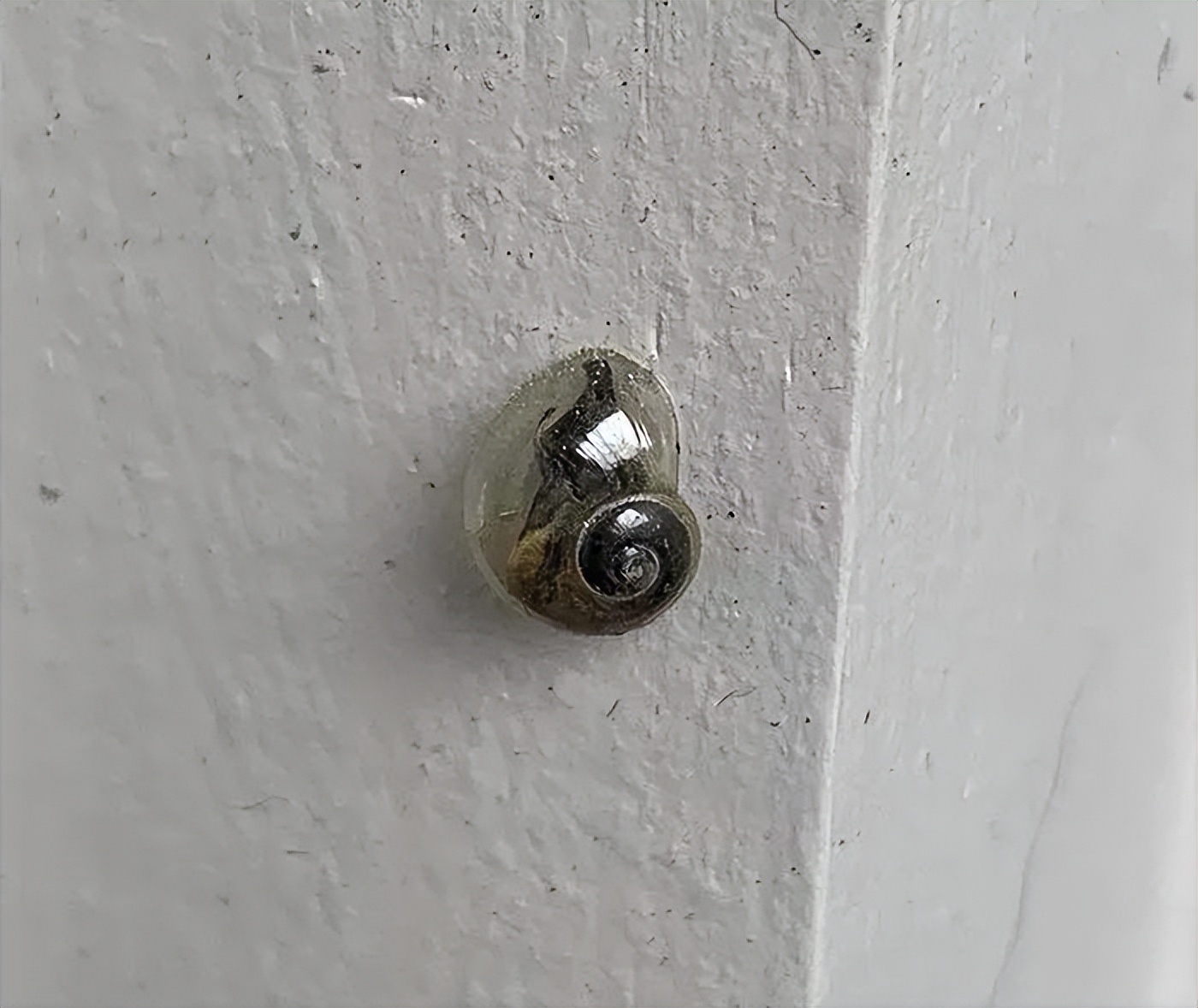 梦露惊艳写真图,女神梦露写真