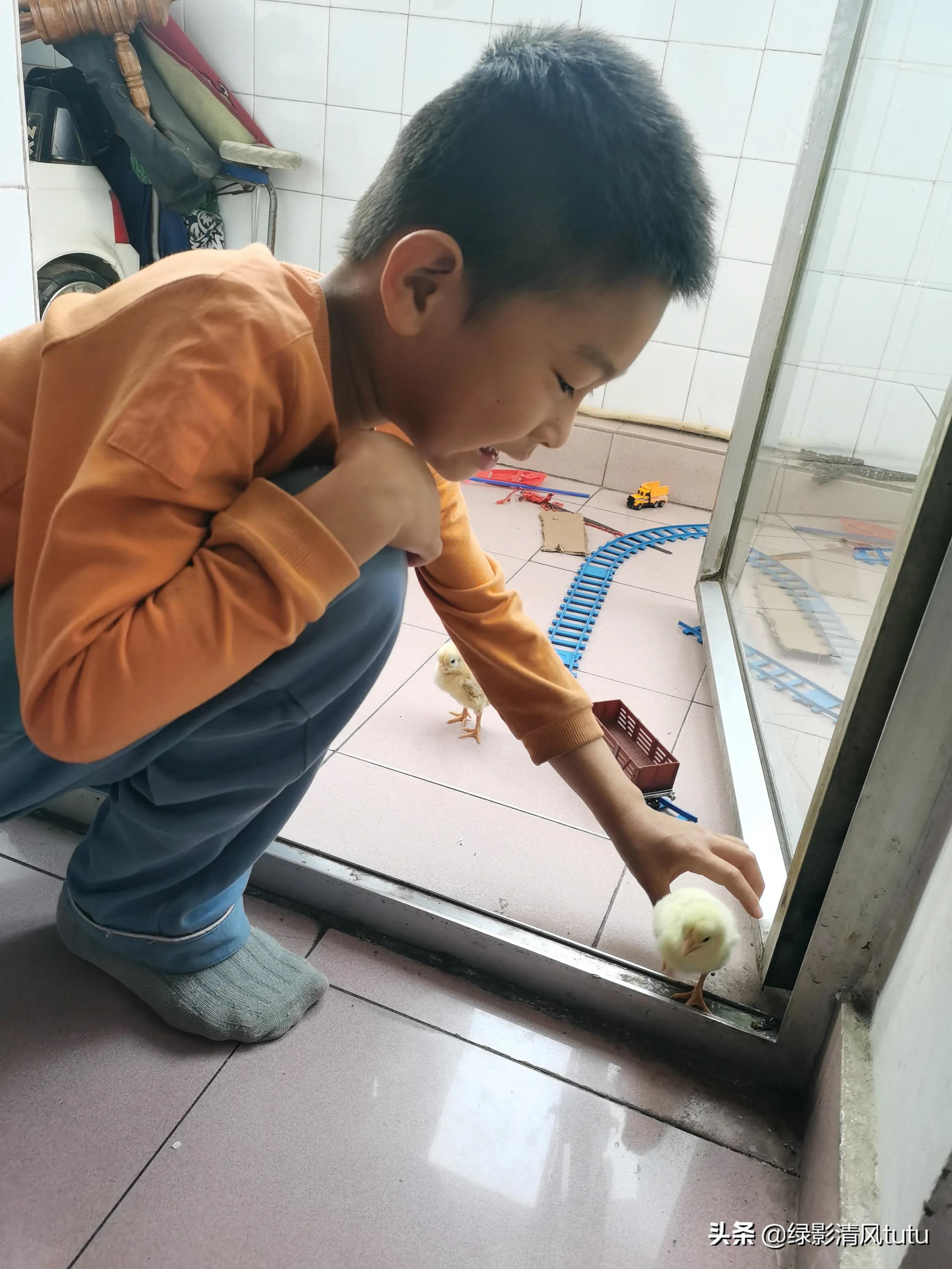 养不养孩子的区别,养宠物对孩子健康有什么影响