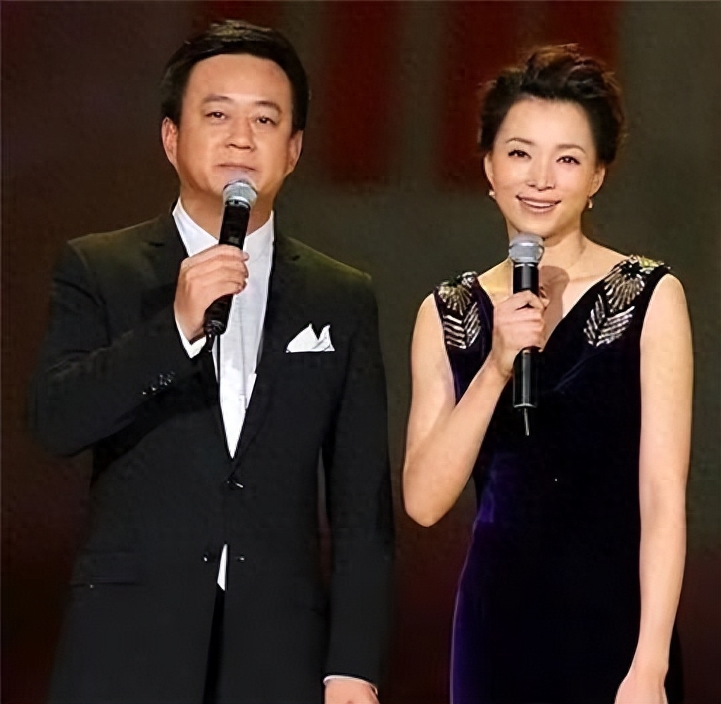 明星主持人朱军简历,央视著名主持人朱军生平简介