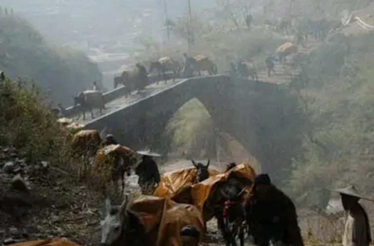 滇红和英红茶哪个更好喝,红茶中的滇红茶