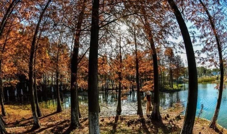 “乾坤必有用，服务包送上门”