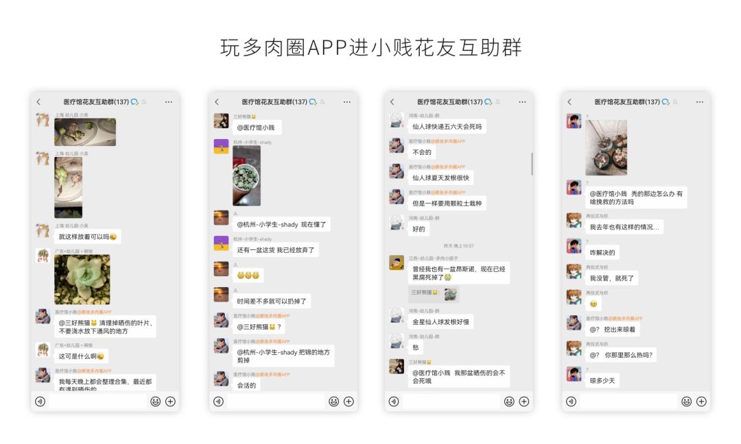 黑斑病季节,黑斑病防治指南