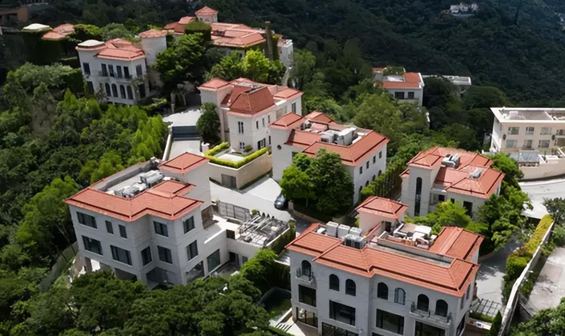 许家印巅峰的时候有多风光,许家印到底有多大实力