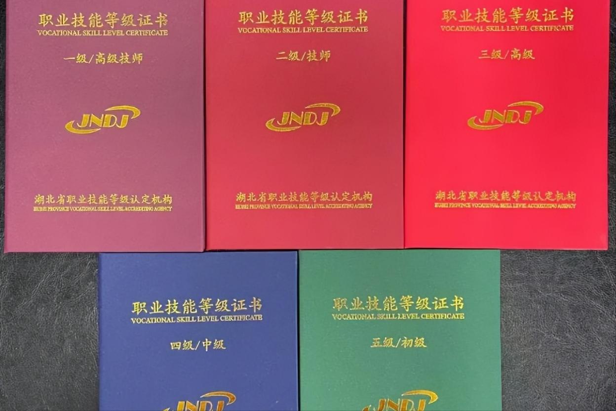 职业技能等级证书怎么查询正规,湖南省职业技能等级证书查询