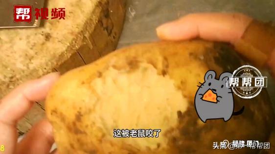 被老鼠咬过的土豆还可以吃吗,被老鼠咬过的土豆怎么处理