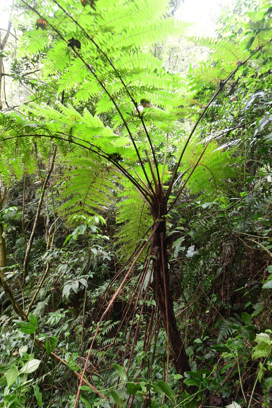 昆明七彩云南怎么样,七彩云南避暑家园