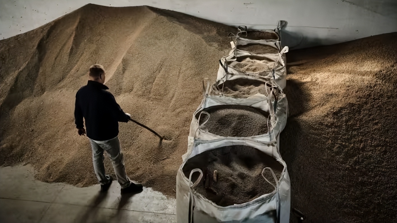 乌克兰粮食上涨对欧洲影响,乌克兰高价销售粮食