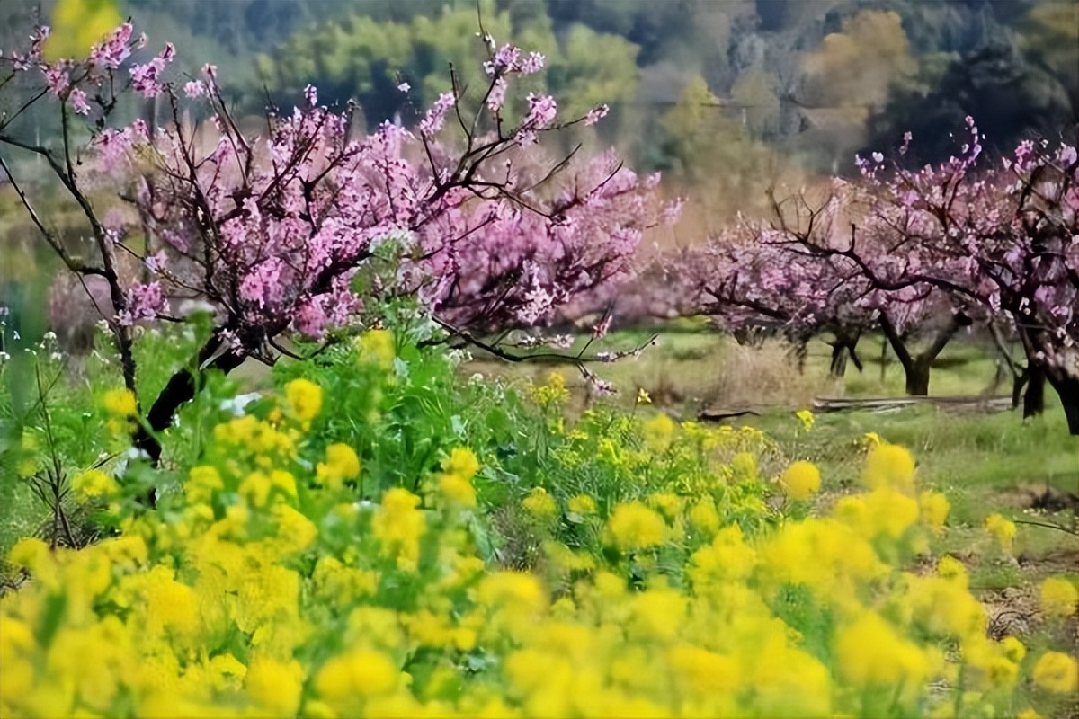 当教师是什么职业,教师是最轻松的职业吗