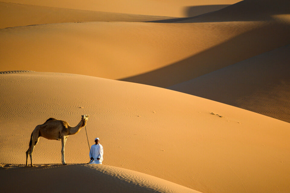 尼康微单入门级哪款性价比高,尼康无反相机最新视频