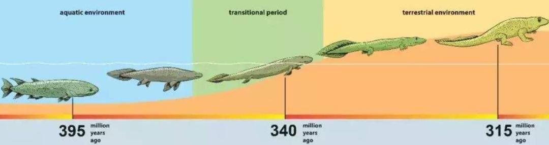 大海有多可怕视频,大海最危险的是什么