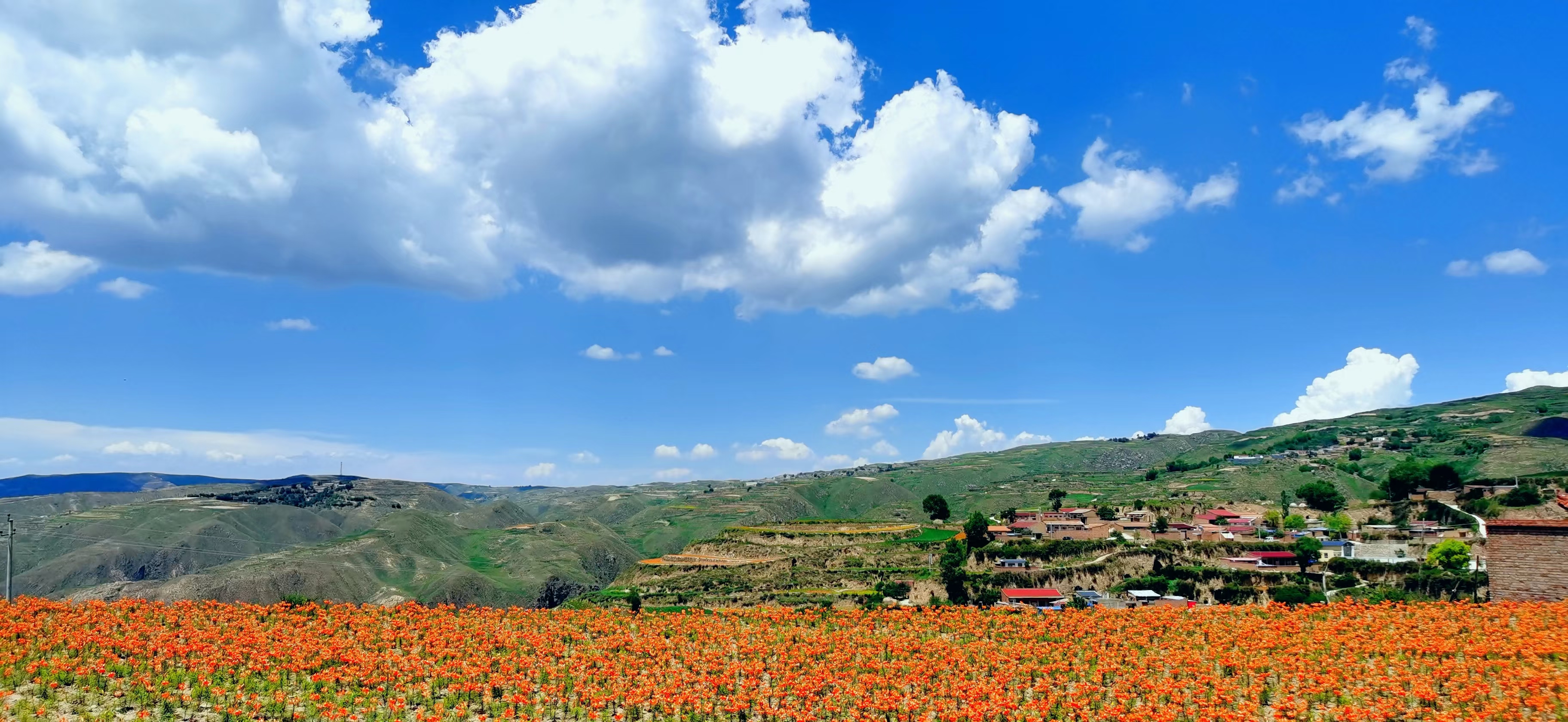 中铺受伤了，但我们从来不怕亦不会退缩