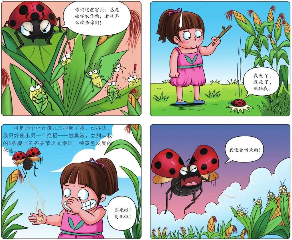 世界上有哪些有光泽的甲虫,世界上最奇葩的小甲虫