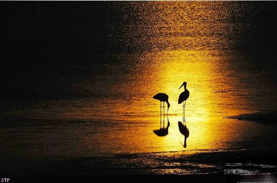 最美中国年摄影作品,大美中国全国摄影大赛