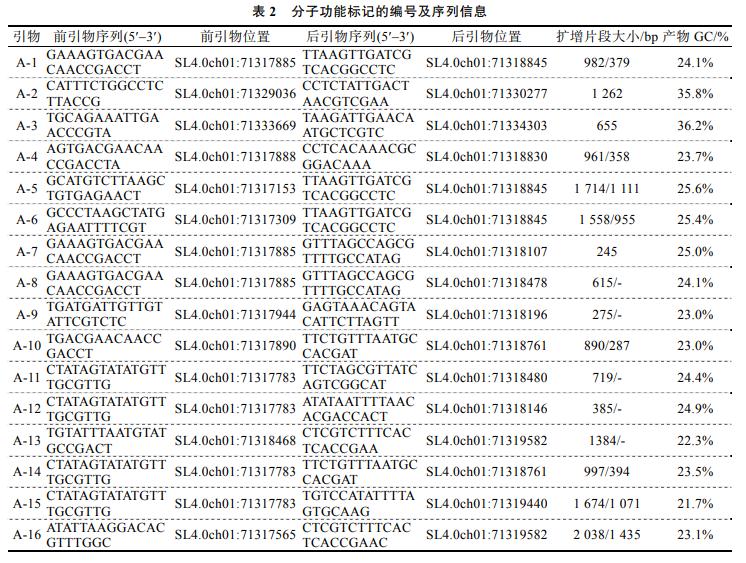 番茄果色偏黄怎么回事,番茄果实色泽评价