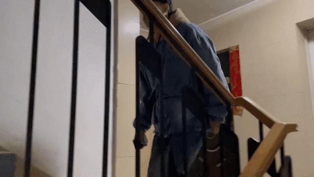 我的猫丢了拿回来要钱怎么办,我的猫丢了隐晦的意思