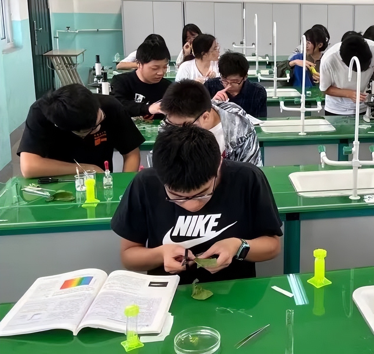 眼中的二中,我眼中的二小