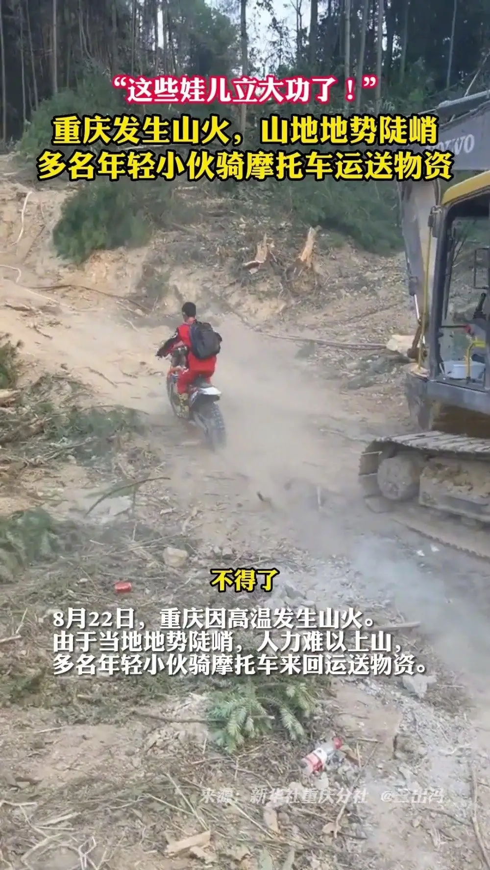 大橘26自己的猫被毒死,还来要我小橘猫,宁愿撕破脸,也得追回来