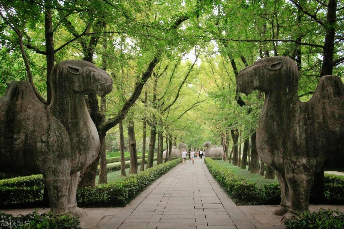 南京带孩子旅游攻略最新,南京亲子游玩攻略一日游价格