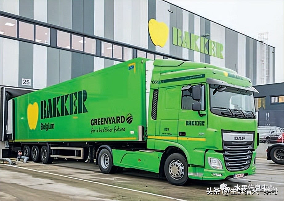 全国最大的果蔬批发市场,全球最大水果批发市场