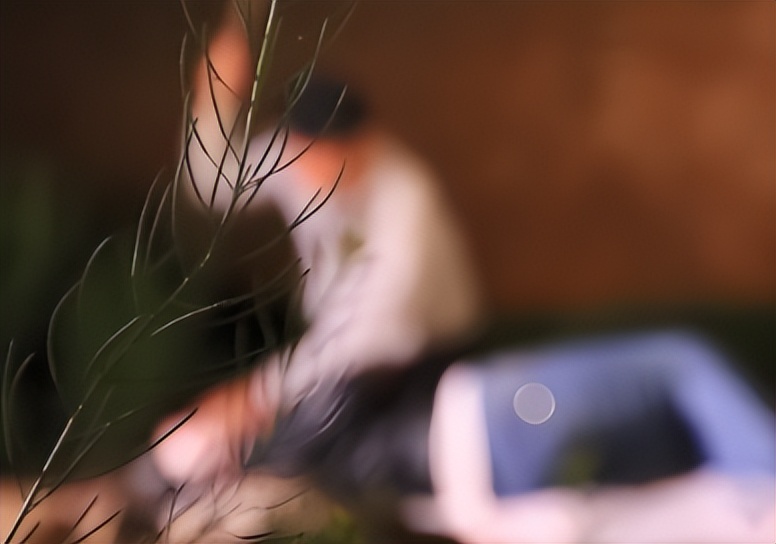 2014年,桃木枝戳穿*体下**?河北女子死状诡异,求爱日记本藏杀机