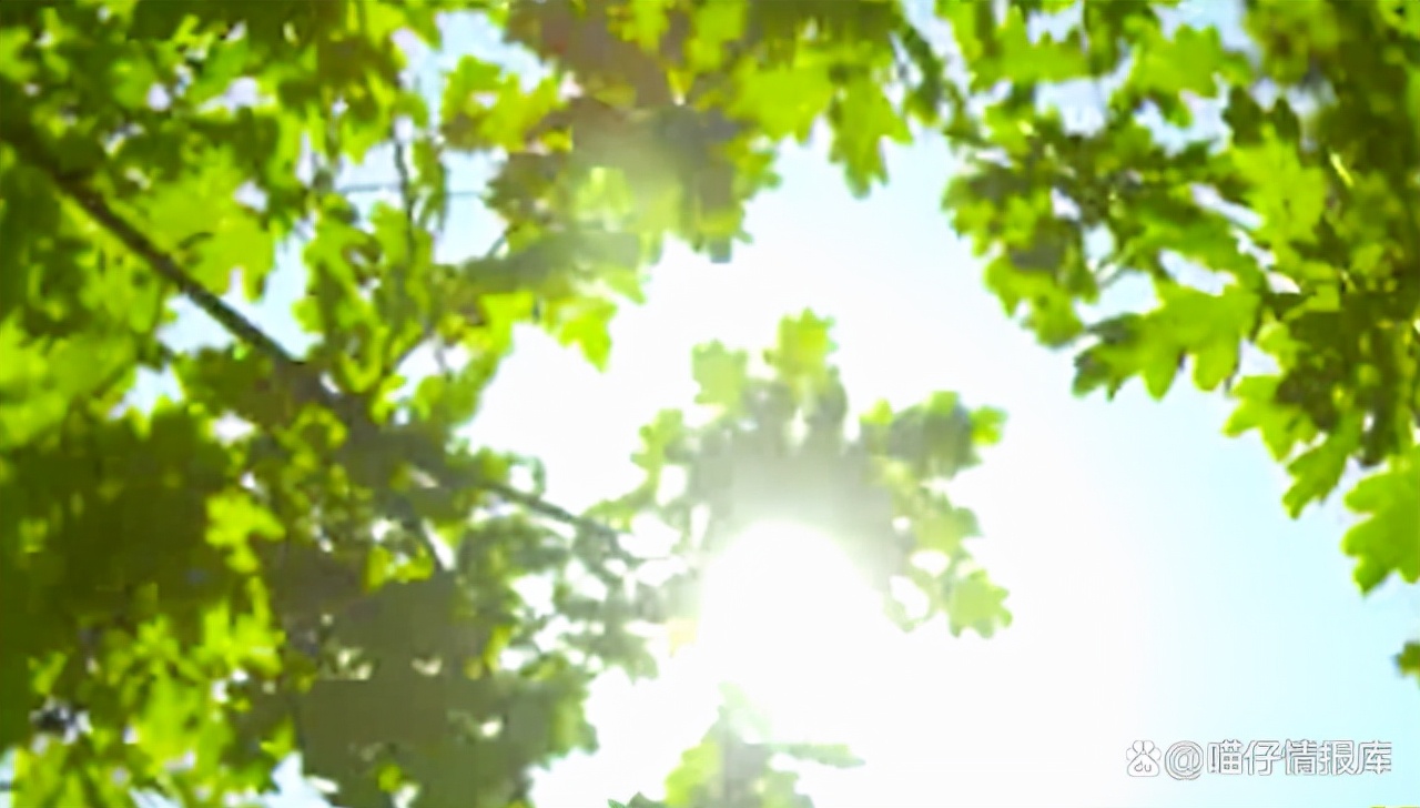 裸分上清北有多难,裸分上清北是什么意思