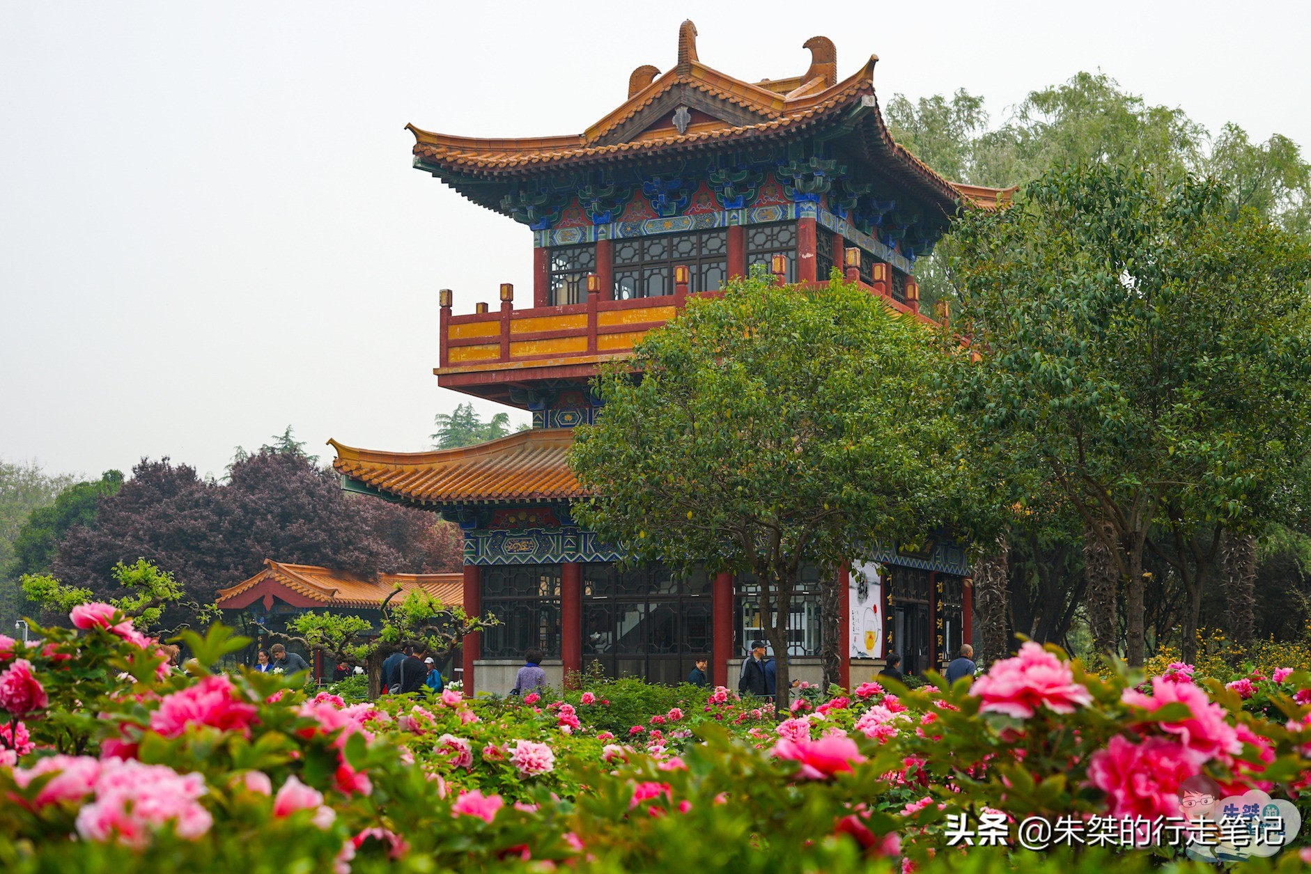 我国唯一一座以花为名的城市,中国唯一一个以花为名的城市