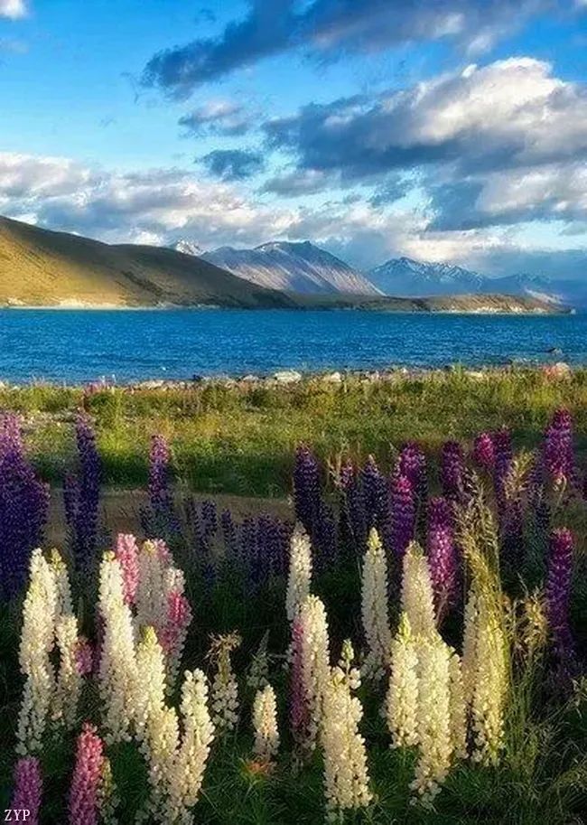 太美了100个世界级美景,全球100张绝世美景