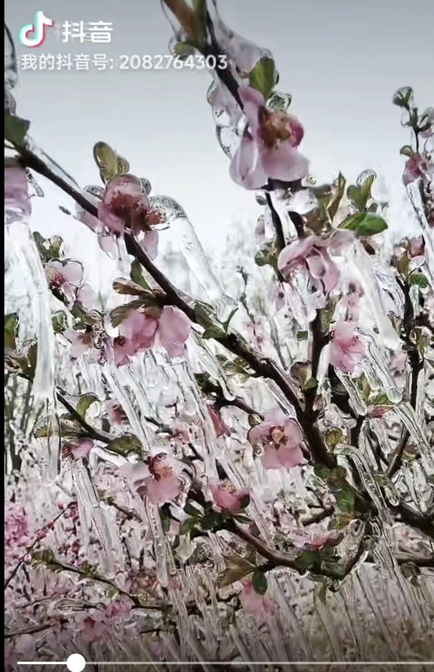 李建印诗歌：我爱这心中永远的春天