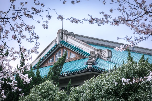 武汉大学历史学系全国排名第几,武汉历史大学排名