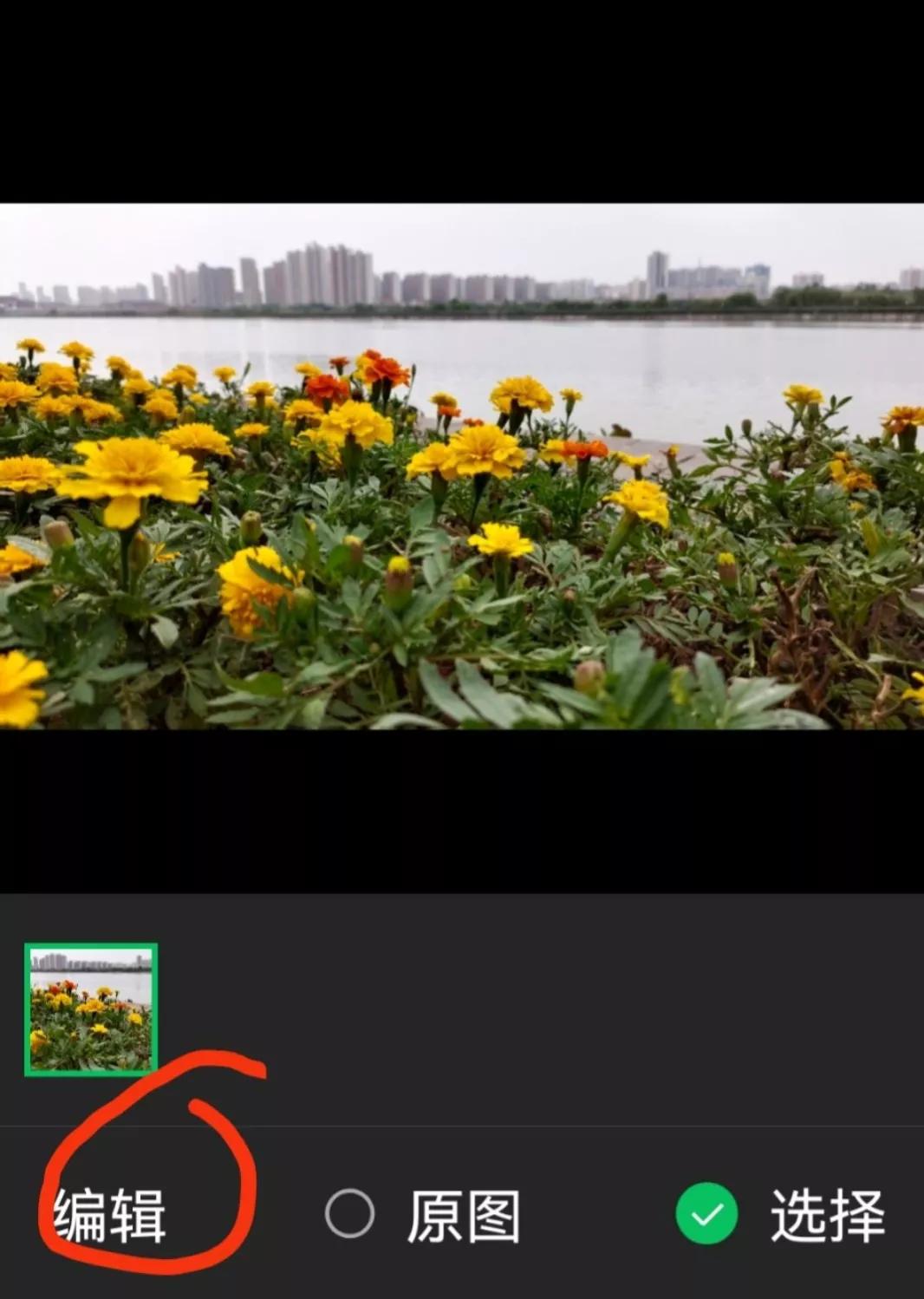 怎样制作问候图片,祝福语手工制作简单又漂亮