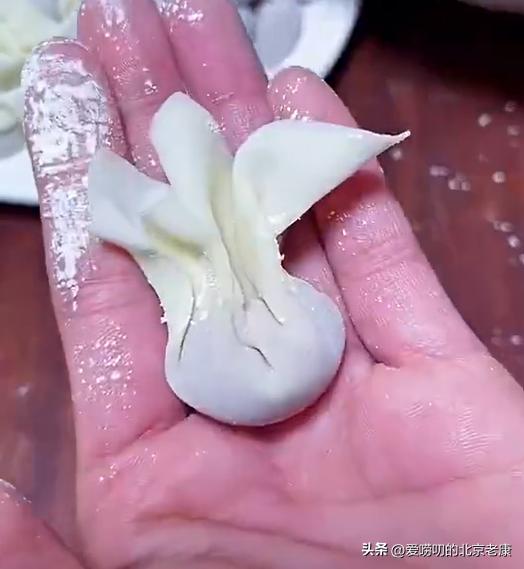 鲜肉云吞做法大全,老味云吞的做法