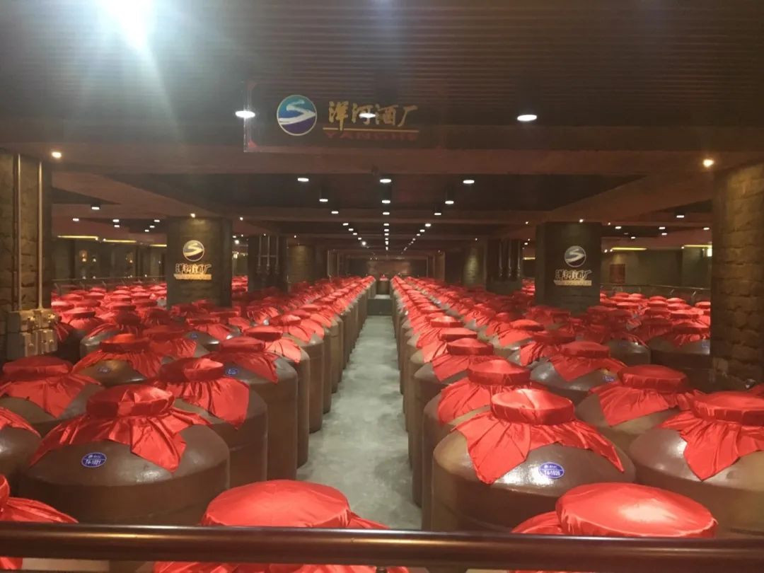 洋河股份升级了吗,洋河能崛起吗